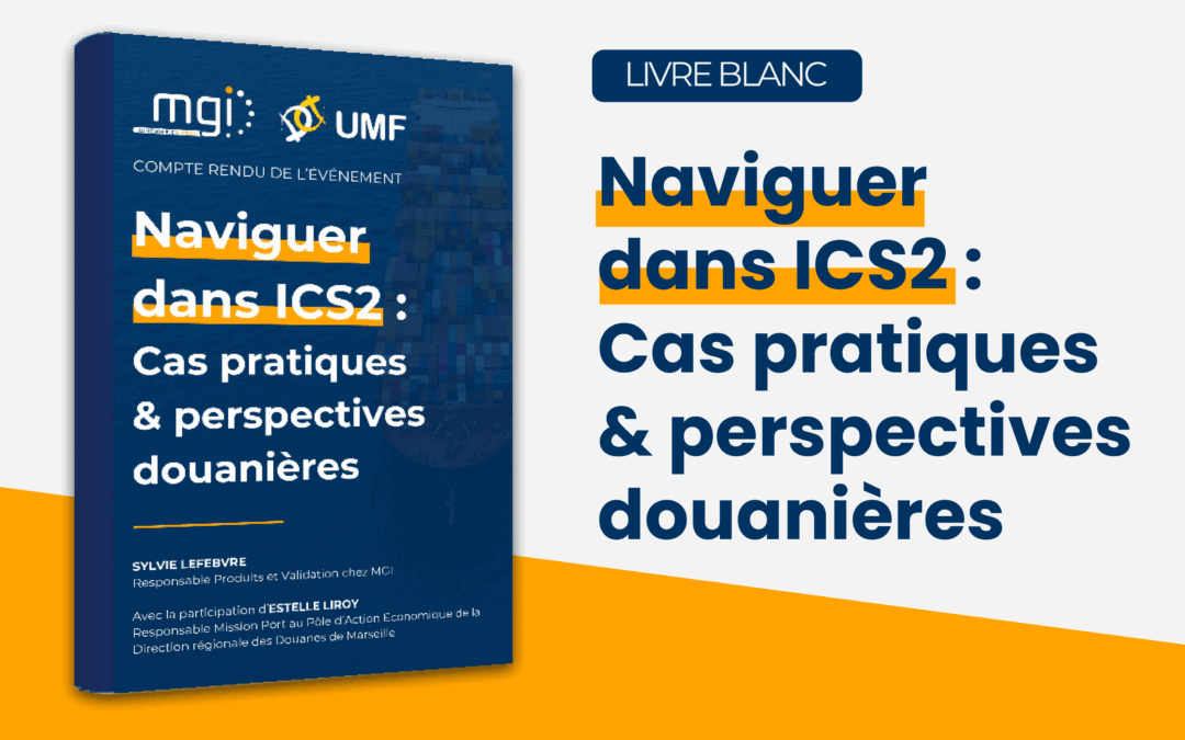 Livre Blanc – Naviguer dans ICS2 : Cas pratiques & perspectives douanières – Agents Maritimes