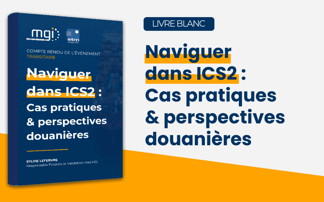 Livre Blanc – Naviguer dans ICS2 : Cas pratiques & perspectives douanières – Transitaires
