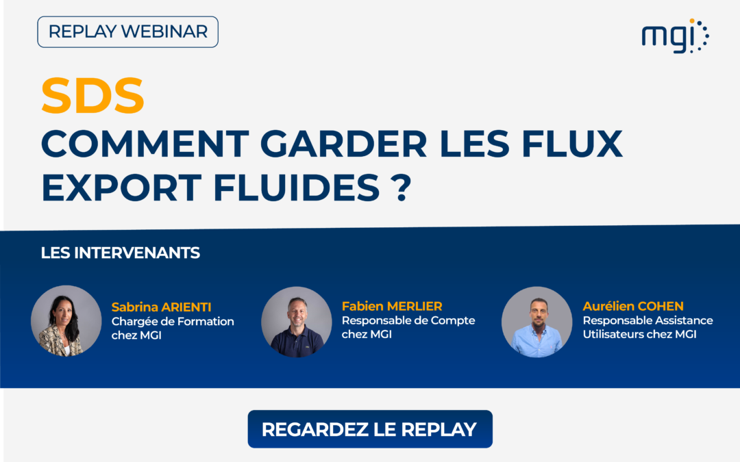 Replay Webinar – SDS : Comment garder les flux export fluides ?